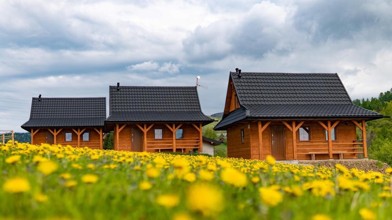 Chatki Niwki U Zboja Кросченко Экстерьер фото